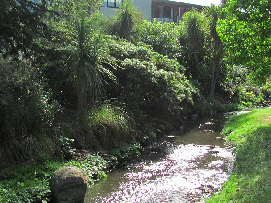 Planting Riparian Margins