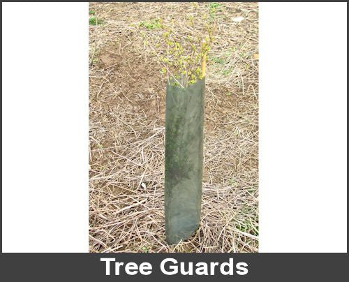 Tree Guards - Large x 100