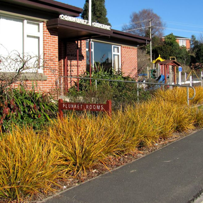 The Art of Mass Planting
