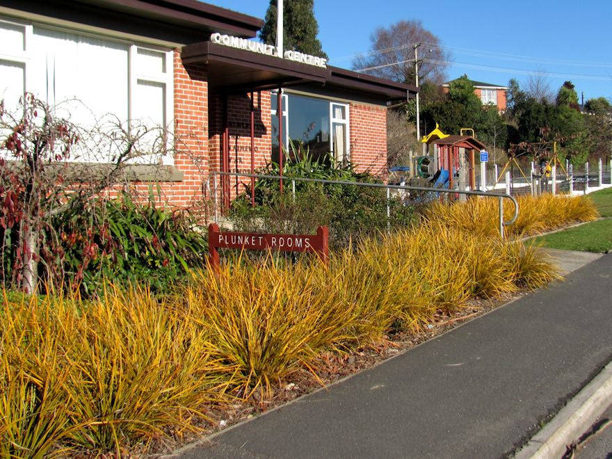 The Art of Mass Planting