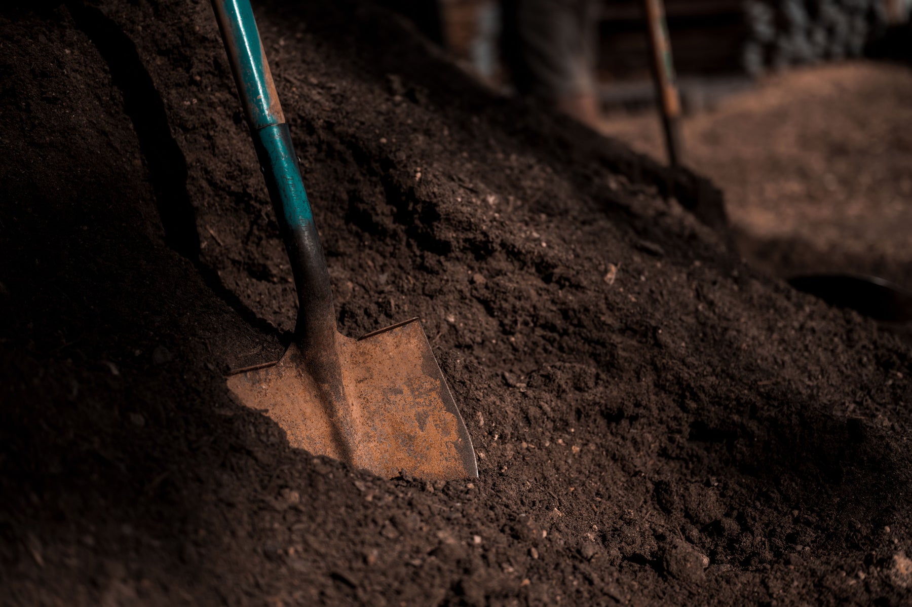 How to Prepare Your Soil Before Planting NZ Native Plants