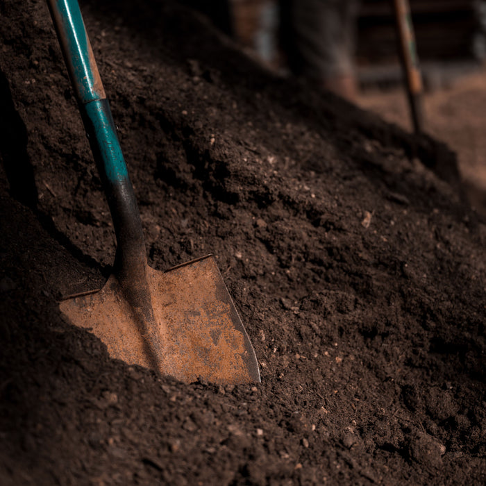 How to Prepare Your Soil Before Planting NZ Native Plants