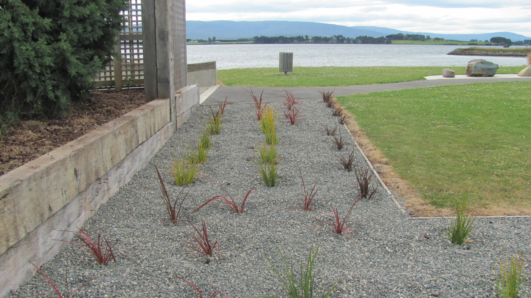 When to Plant NZ Native Plants in New Zealand