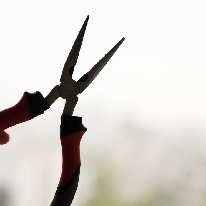 A Guide to Pruning Native Shrubs in New Zealand