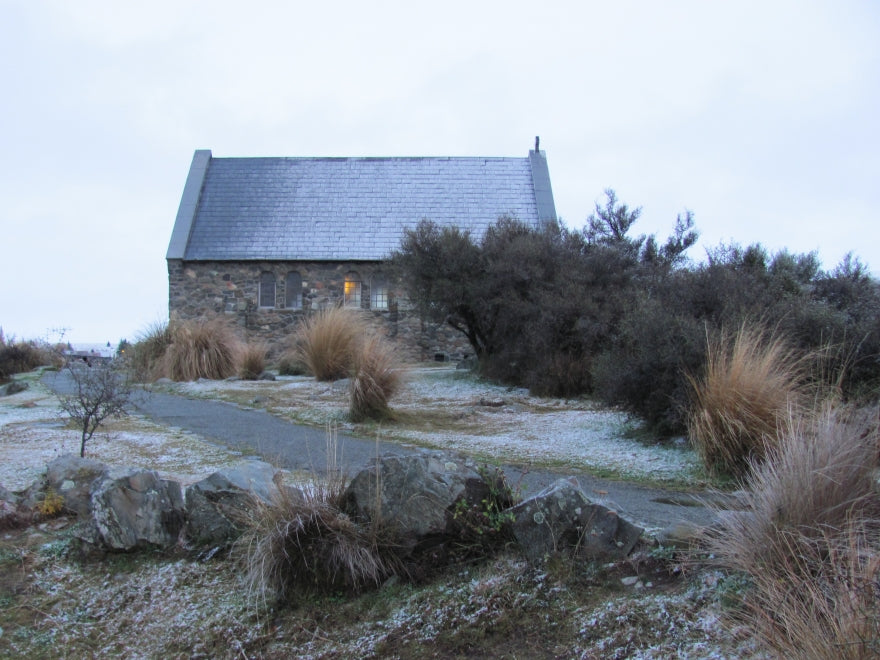 Natives for Alpine Conditions