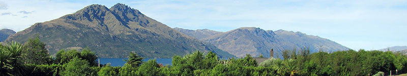 Natives recommended for Central Otago conditions