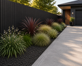Driveway and Entrance Collection | Modern NZ Native Plant Packs