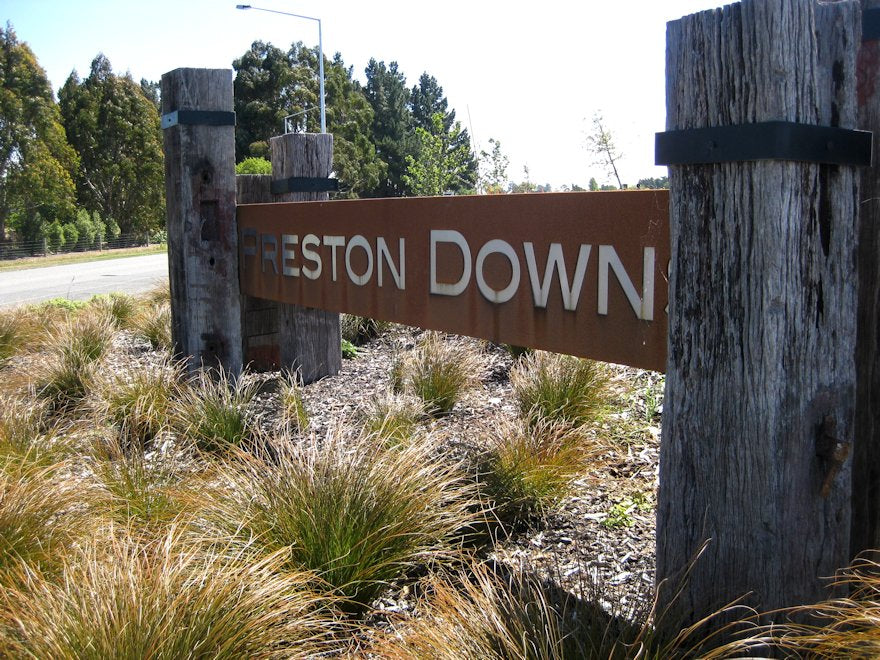 25x Golden Tussock - $3.99 each