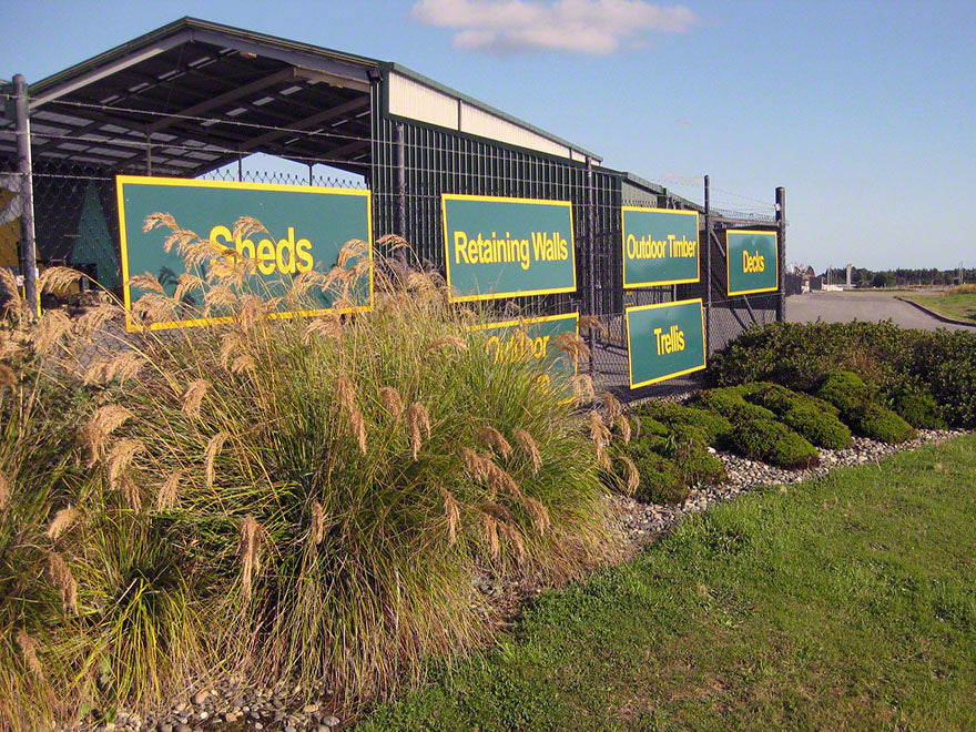 100x Dwarf Toe Toe - large size - $11.99 each