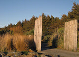 5x Red Tussock - $11.99 each