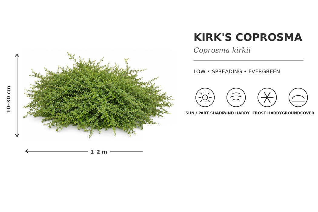 500x Clearance Native Combo - $1.99c each