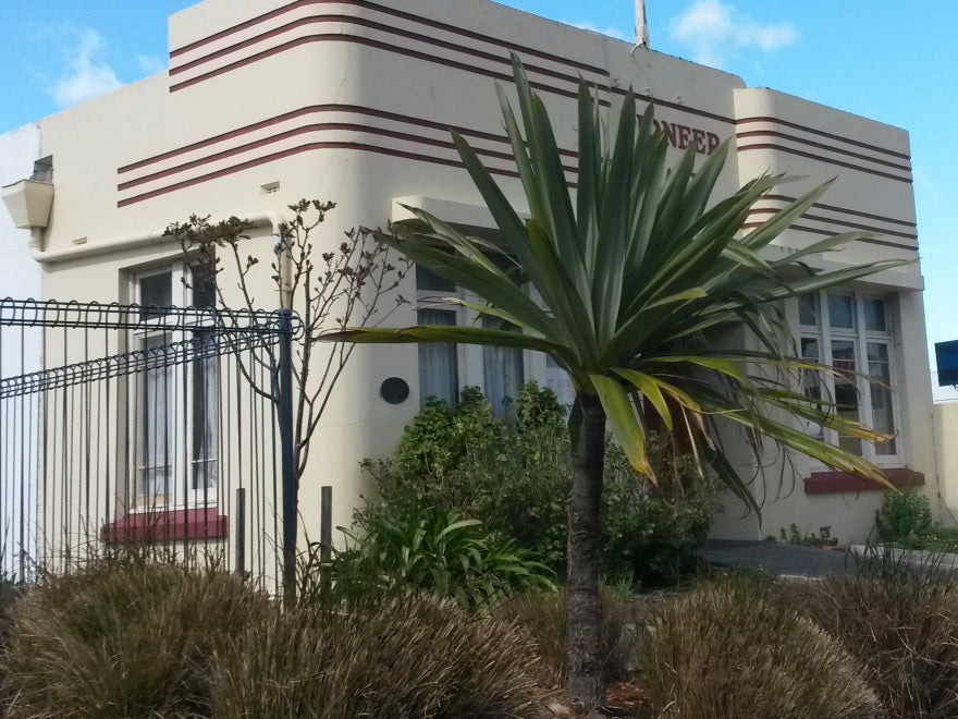 Cordyline Indivisa