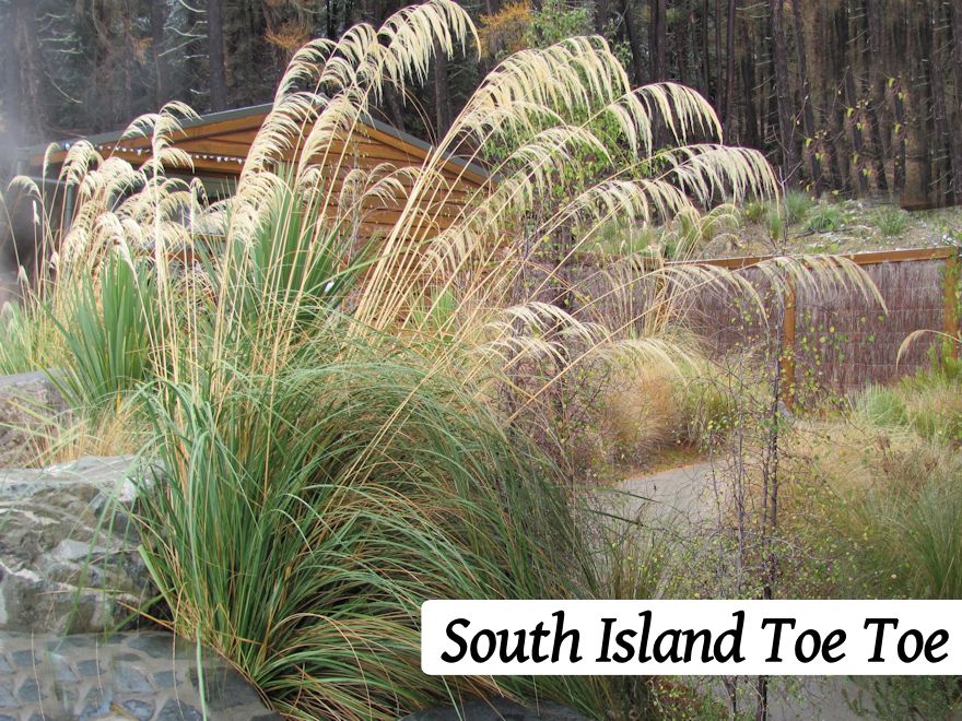 500x Riparian Combo - $3.59 each
