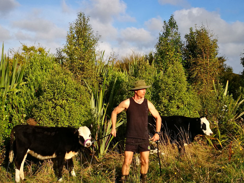 250x Farm Combo - $3.99 NZ trees & shrubs