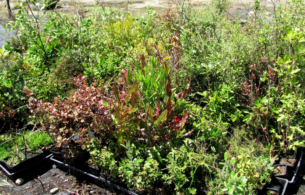 Magic Box - 50x Mixed Clearance Seconds $1.59 each