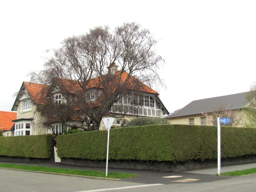 100x Golden Ake Ake - $3.99 each