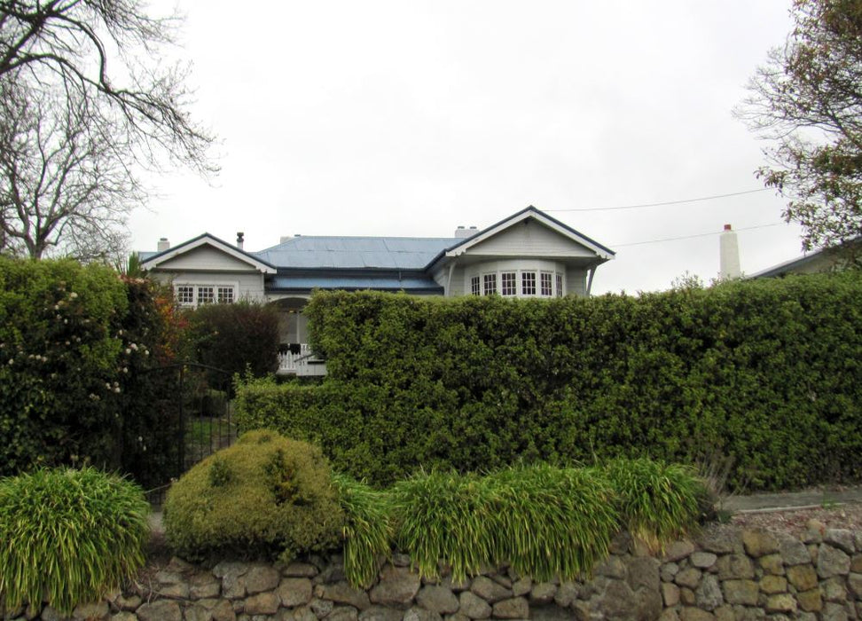 100x Golden Ake Ake - $3.99 each