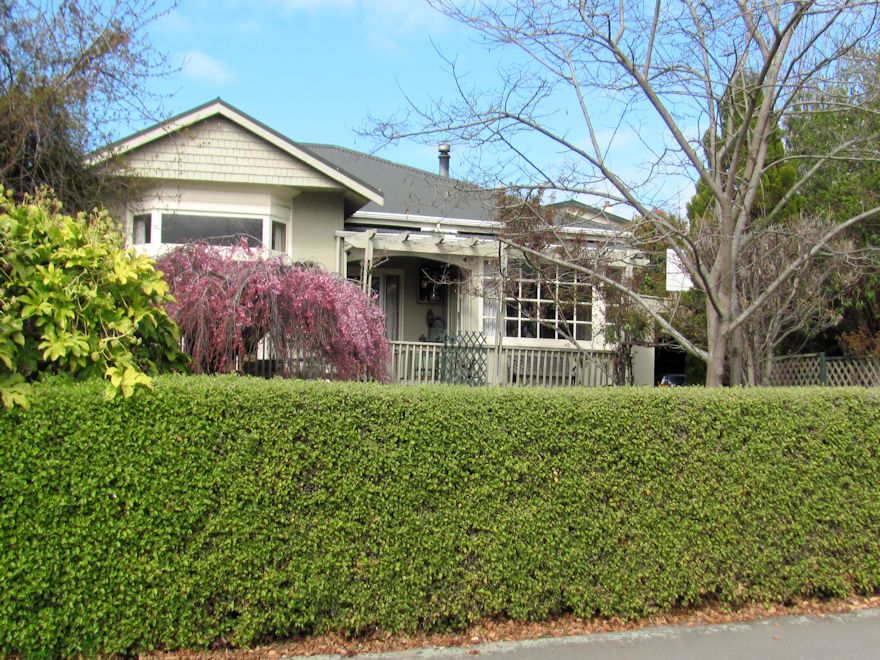 25x Golden Ake Ake - $2.99 each