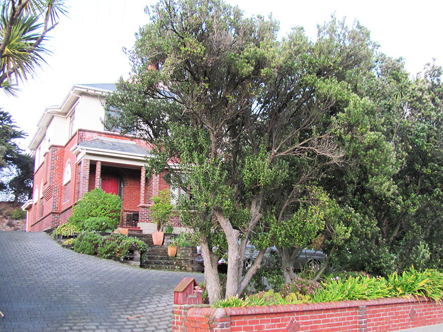 100x Tough as Nails Combo - $3.99 each