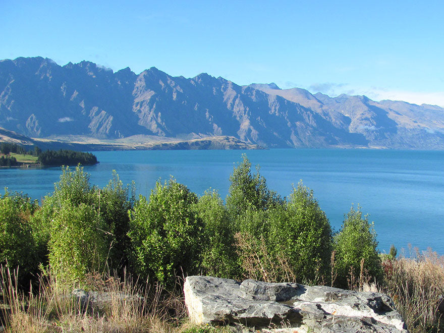 250x Farm Combo - $3.99 NZ trees & shrubs