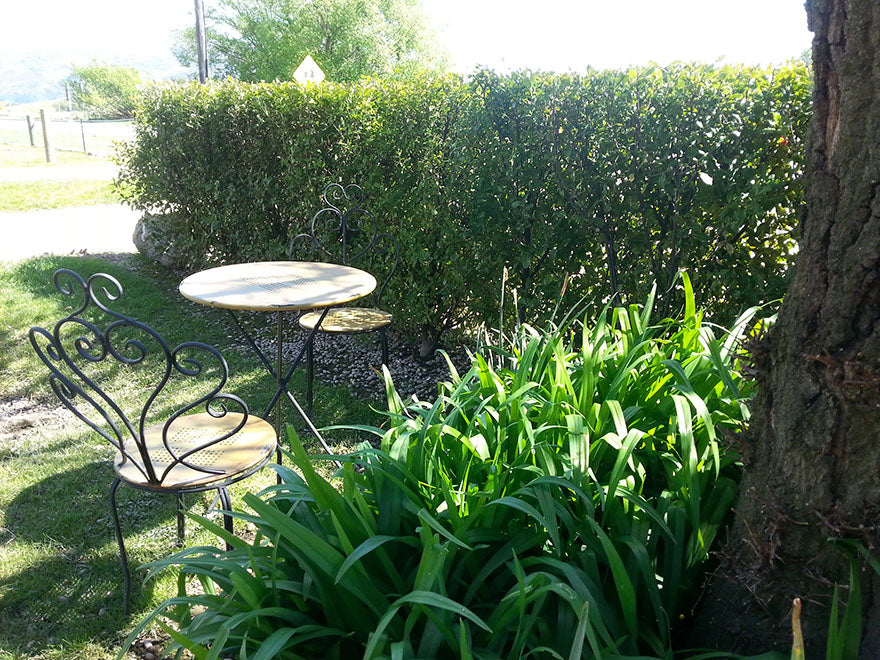 100x Kōhūhū - Pittosporum - $2.99 each