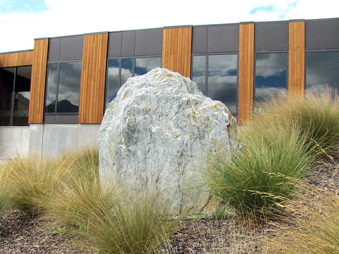10x Silver Tussock - $1.99 each