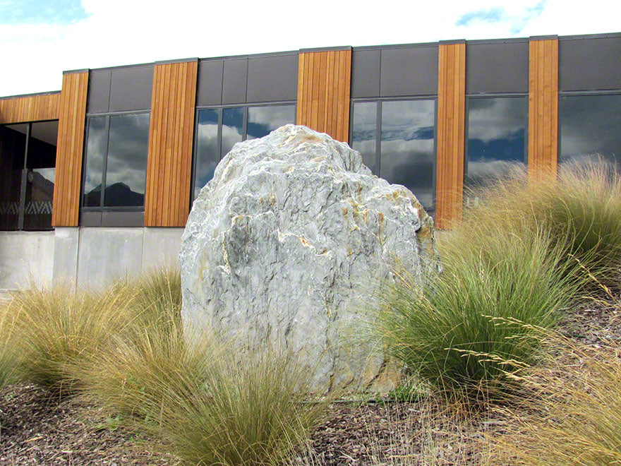 100x Silver Tussock - $2.99 each