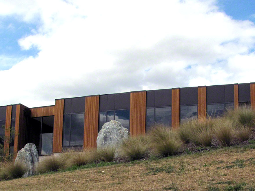 100x Silver Tussock - $2.99 each