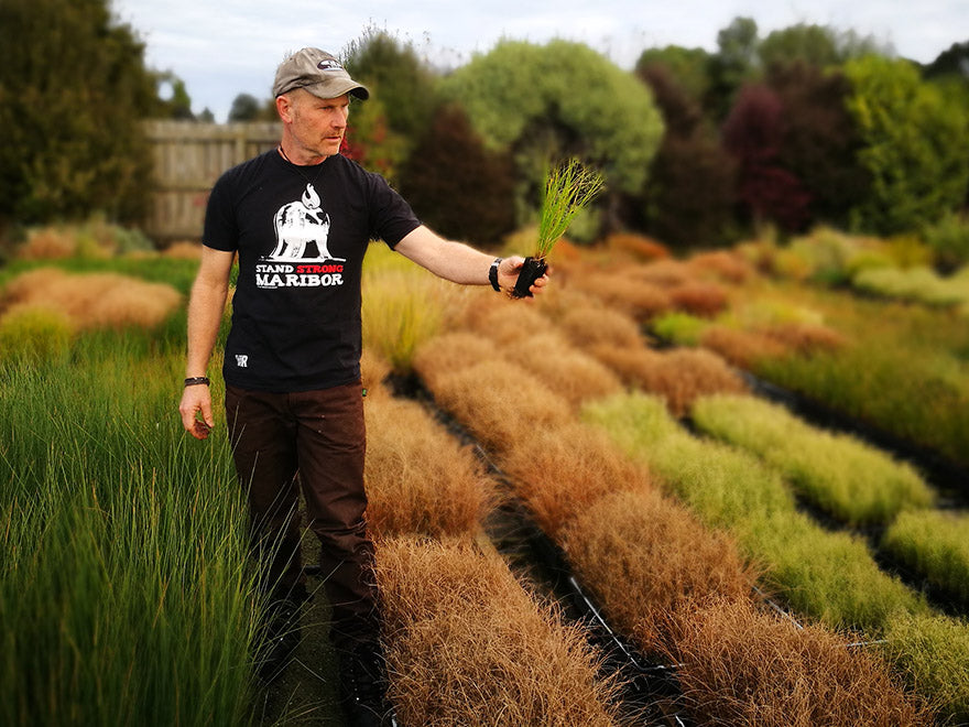 10x Carex Frosted Curls - $1.99 each