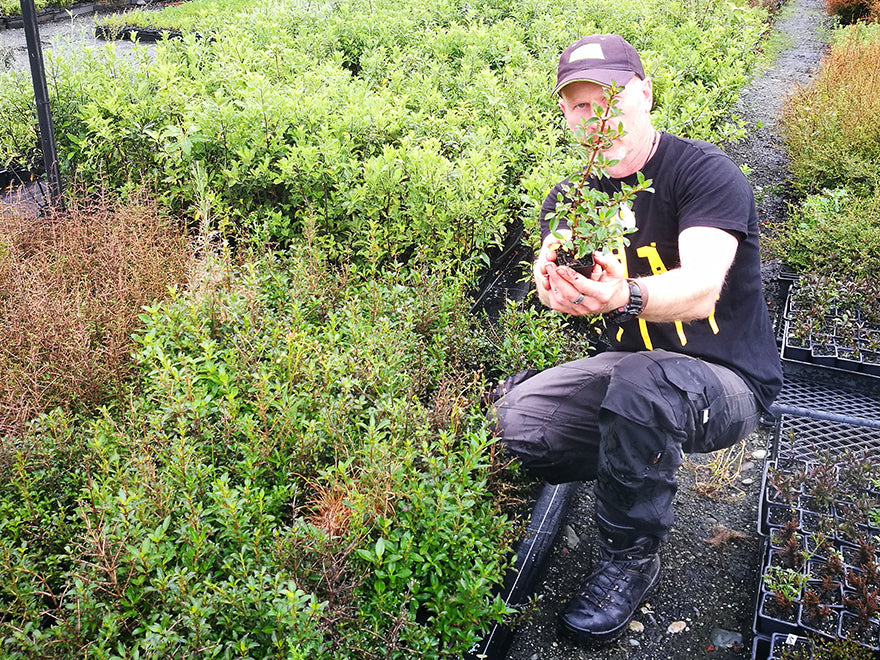 60x Clearance Native Combo - $1.99c each - Super Cheap