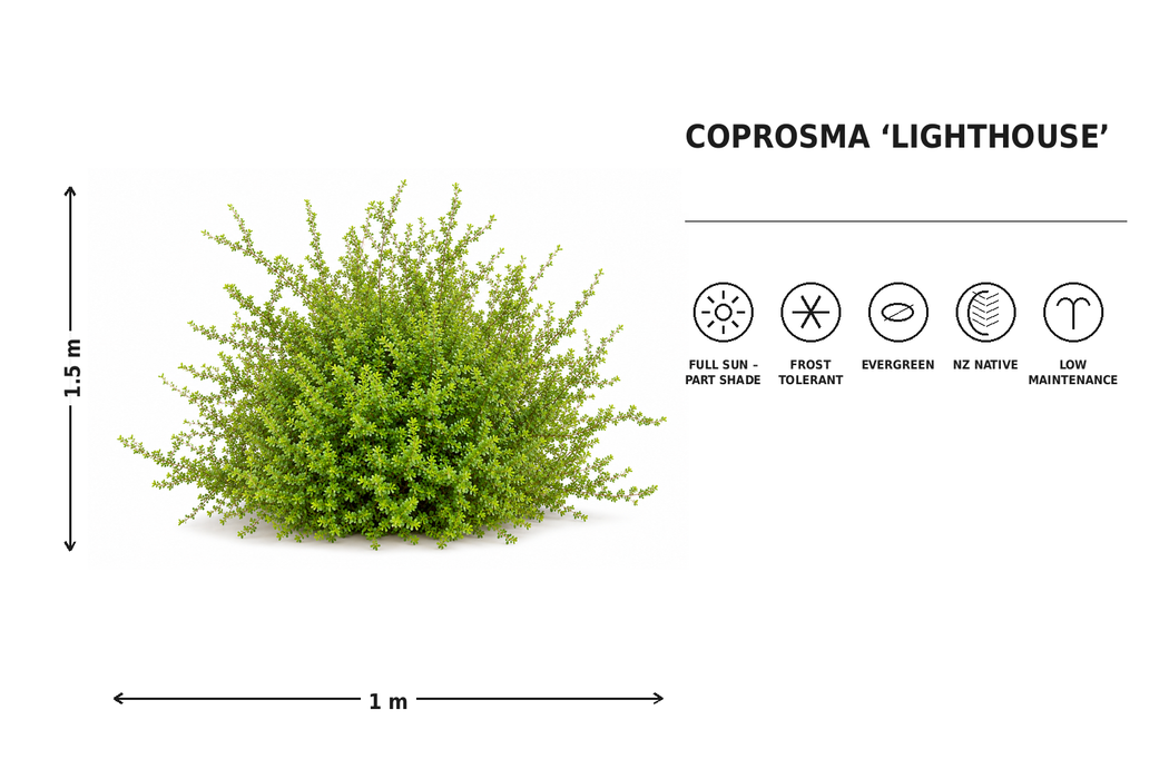 500x Clearance Native Combo - $1.99c each