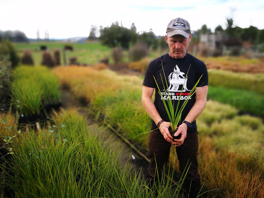 100x Riparian Combo - $3.99 each