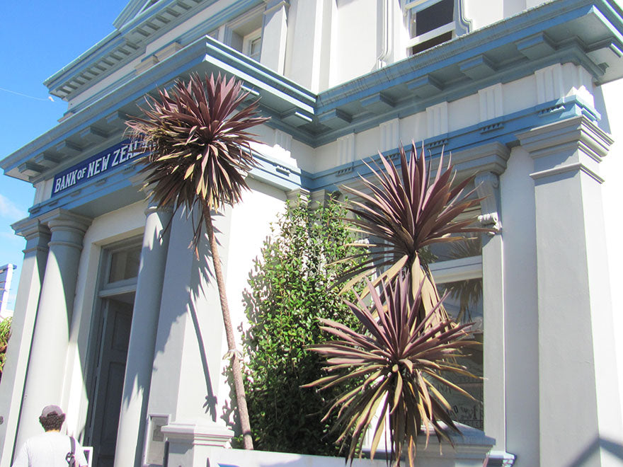 Cordyline Purple Tower