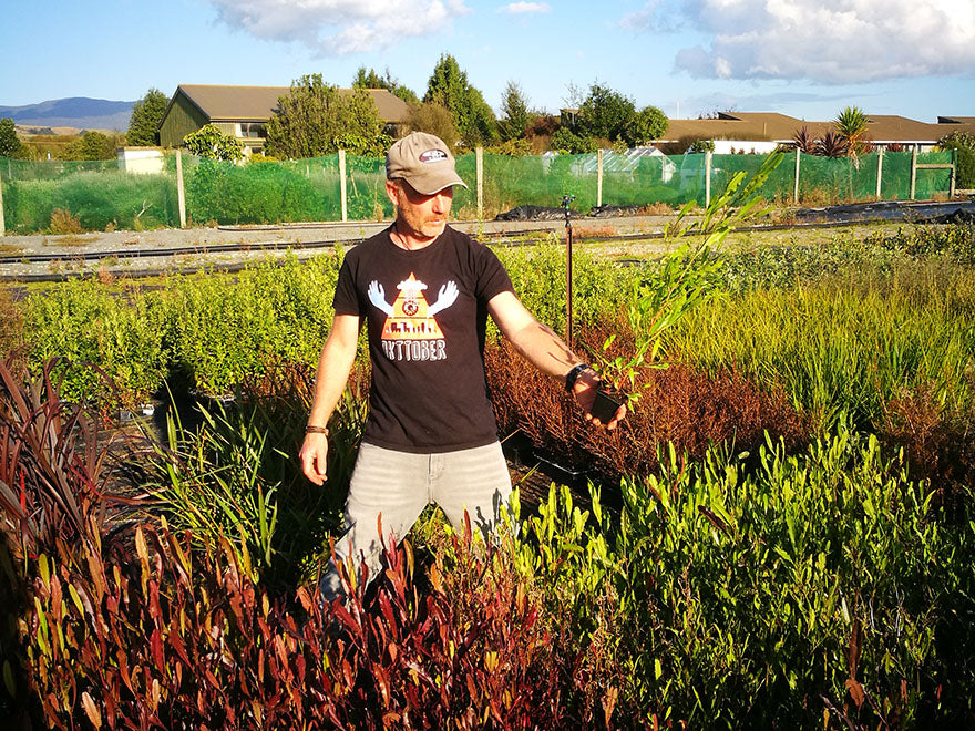 100x Green Ake Ake - $3.99 each