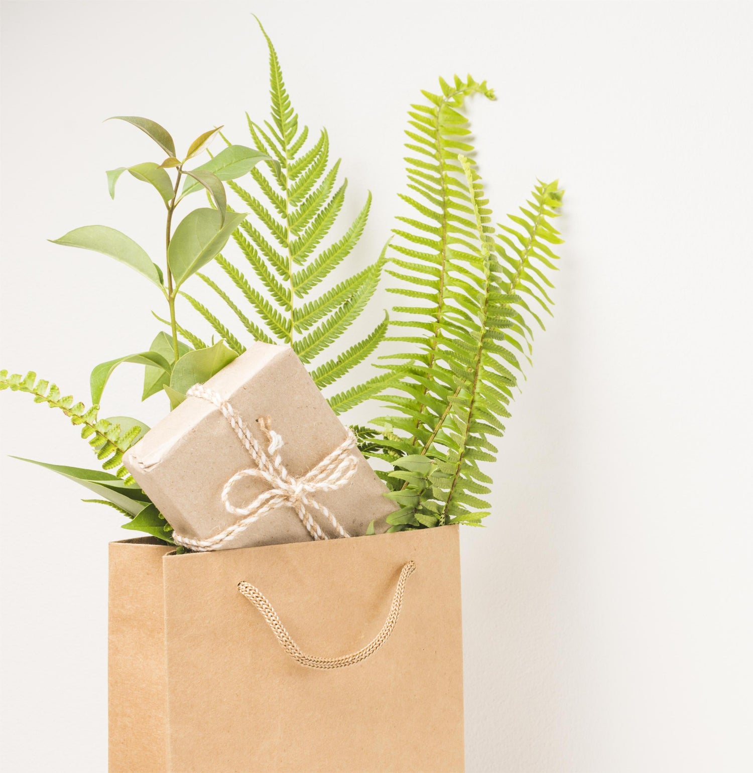 Give the Gift of Green this Christmas!