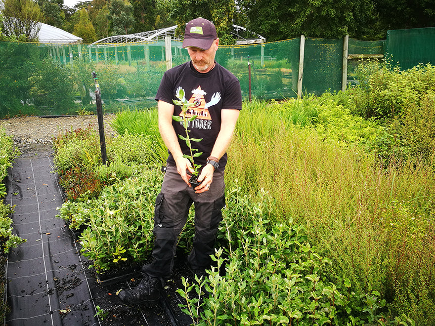 100x Farm Shelter Combo - $3.99 trees & shrubs