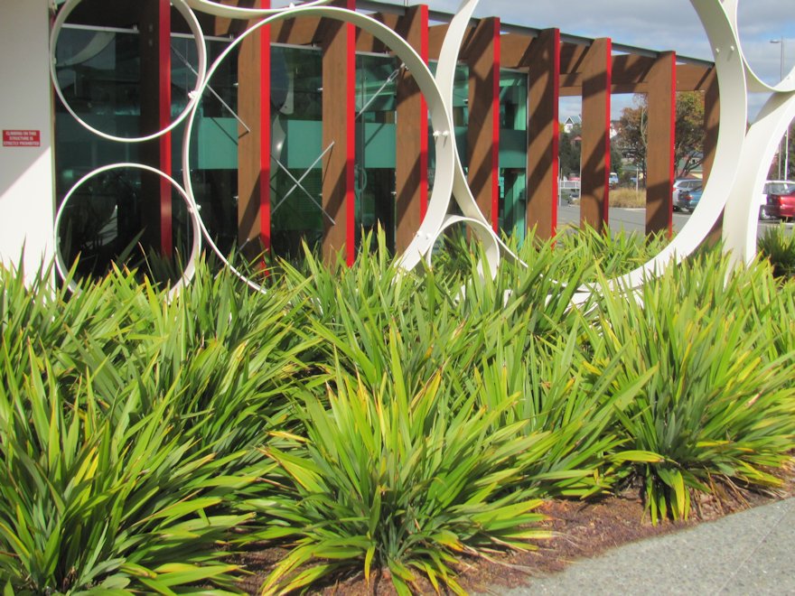 Flax Emerald Gem - large size