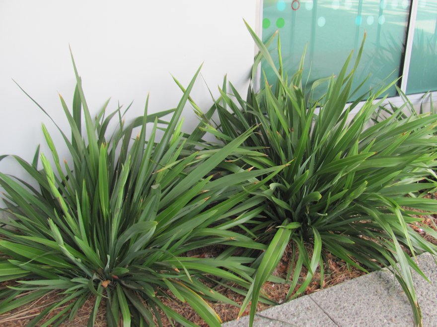 25x Flax Emerald Gem - $8.99 each