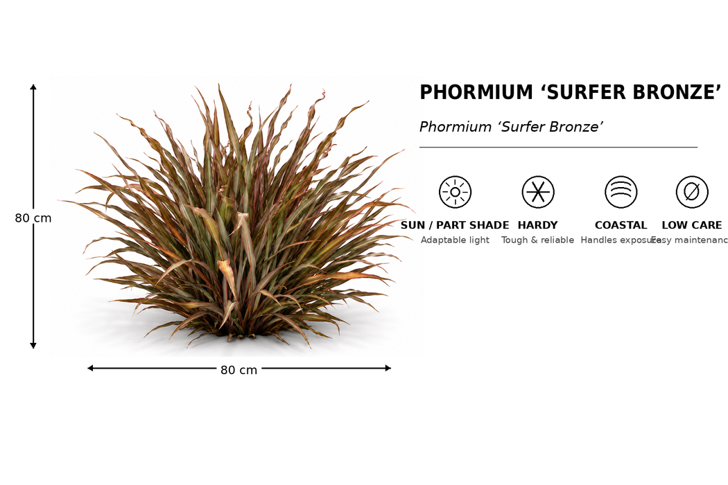 5x Flax Surfer Bronze - $6.99 each