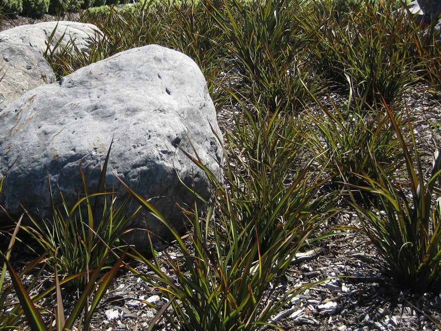 25x Flax Surfer Green - $10.99 each