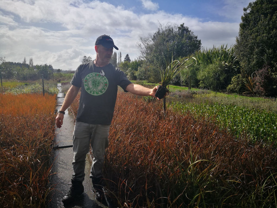 25x Flax Surfer Green - $10.99 each