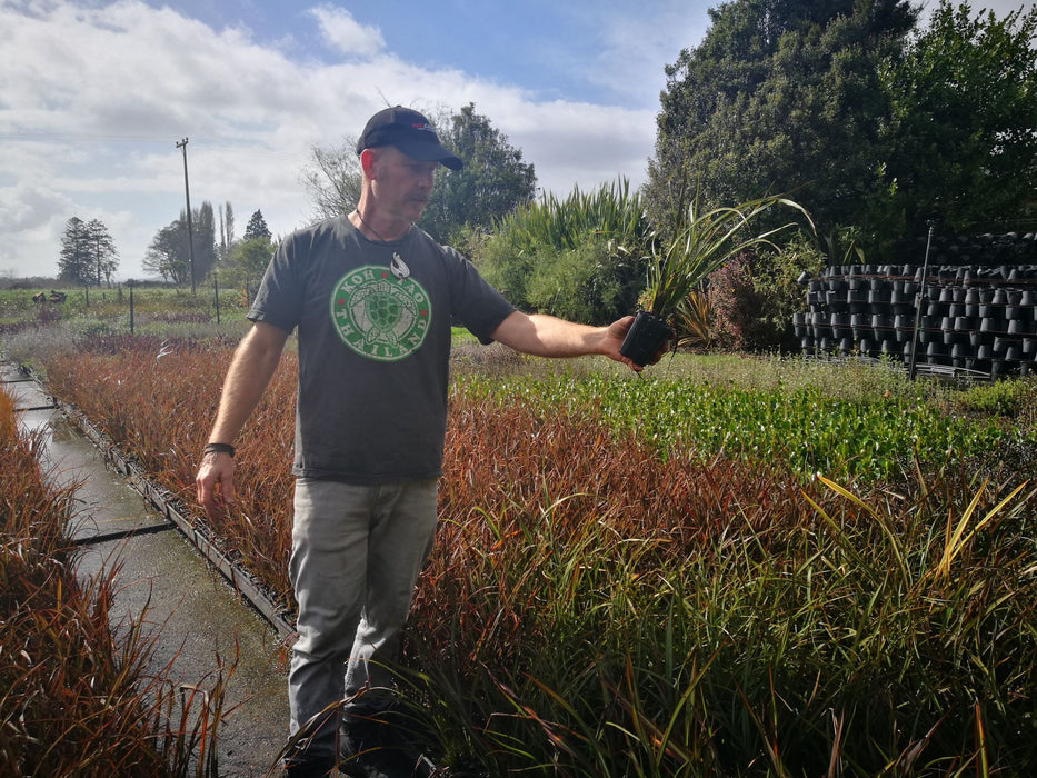 25x Flax Surfer Green - $10.99 each