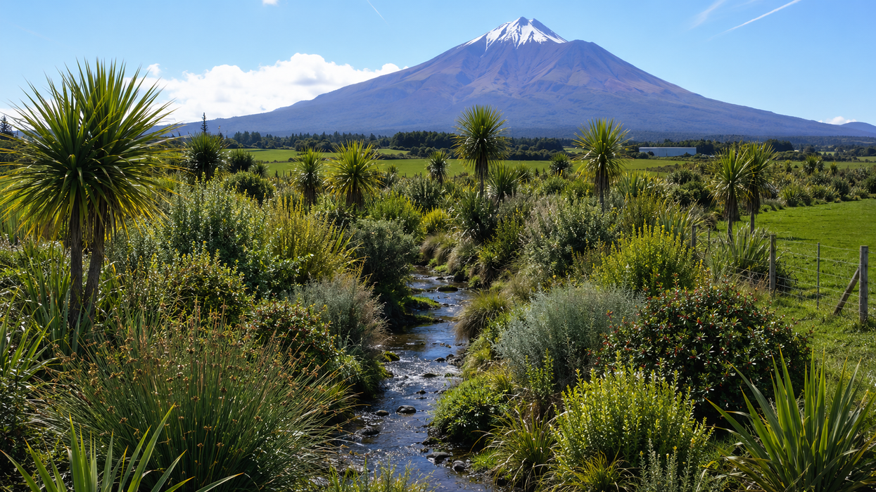 200x Riparian Combo - Waterway & Stream - $2.99 each