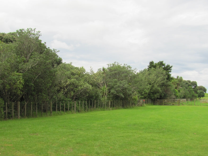 50x Surplus Shelter Combo - $1.99c each - Best Value