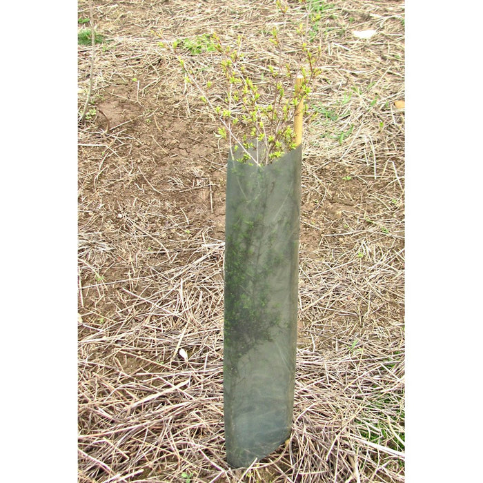 Tree Guards - Large x 100