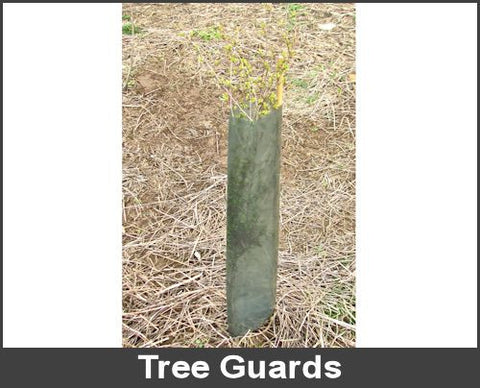 Tree Guards - Large x 100