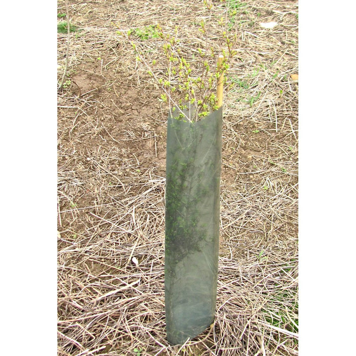 Tree Guards - Large x 100