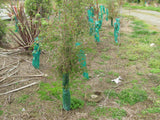 Tree Guards - Large x 100