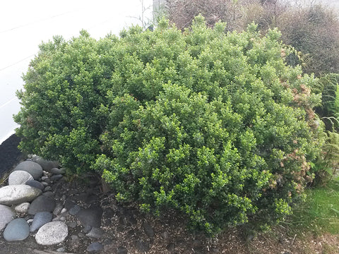 EE88 Khám Phá Thế Giới Bí Ẩn Của Mã Số May Mắn - Từ Thuyết Âm Mưu Đến Thực Tiễn