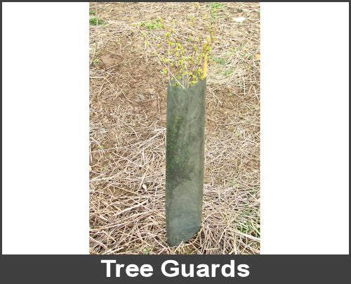 Tree Guards - Large x 100